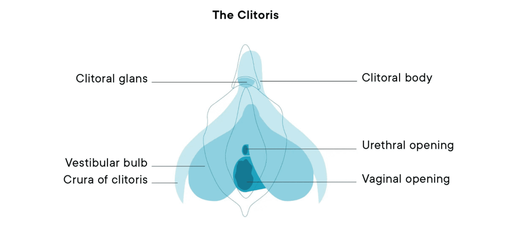 How to Stimulate Clitoris